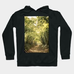 Tunnel of Trees Summer Series #3 Hoodie